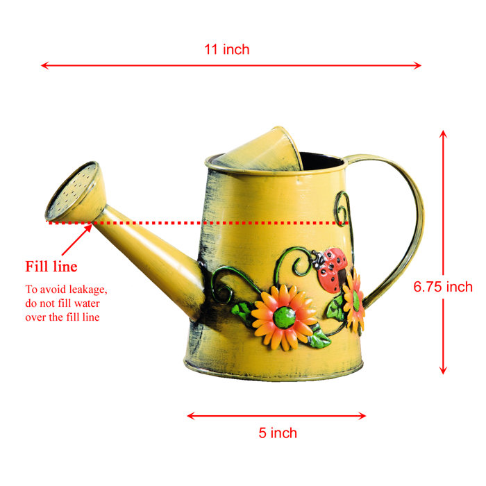 August Grove® Kriston Watering Can & Reviews Wayfair